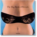 Hanson, Dian (Herausgeber): The big book Hanson, Dian (Herausgeber): The big book