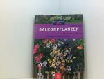 Eva-Maria Geiger: Balkonpflanzen. Auswäh