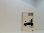 Isaak Babel: Budjonnys Reiterarmee