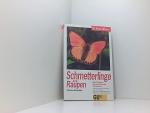 Schmetterlinge und Raupen. Bestimmen, Kennenlernen, Schützen. Die schönsten tag- und nachtaktiven Falter und ihre Rassen. Bestimmen mit GU-Kennfarben-Code. Ratgeber: Der Schmetterlingsgarten die schönsten tag- und nachtaktiven Falter Europas und ihre Raupen ; bestimmen, kennenlernen, schützen