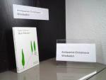 Italo Calvino: Herr Palomar. Aus dem Ita
