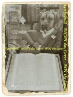 Stevenson, Robert Louis: Die Schatzinsel