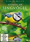 Heimische Singvögel