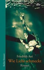 Friedrich Ani: Wie Licht schmeckt: Roman