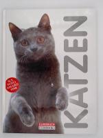 Gloria Stephens: Katzen