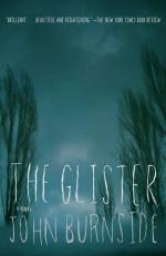 John Burnside: The Glister