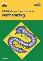 Sut I Ddisgleirio Chael Hwyl Mewn Mathemateg