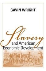 Slavery and American Economic Development