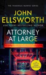 John Ellsworth: Attorney at Large
