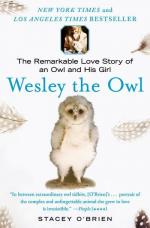 Wesley the Owl