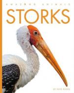 Storks