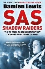 Lewis, D: SAS Shadow Raiders