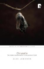 Chrysalis