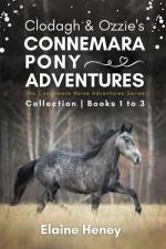 Clodagh & Ozzie's Connemara Pony Adventures | The Connemara Horse Adventures Series Collection - Books 1 to 3