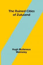 The Ruined Cities of Zululand