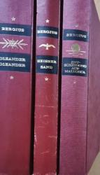 Oleander, Oleander - Heisser Sand -  Entscheidung auf Mallorca. 3 Bände