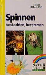 Spinnen beobachten, bestimmen