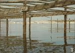S.50 -Languedoc , Etang de Thau , Bouzig