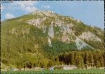 Campingplatz Ortnerhof