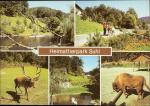Heimattierpark Suhl, Teichanlage, Rothir
