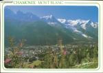 Chamonix Mont-Blanc, Vue generale de la 
