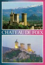 1148530  Chateau de Foix - Château Mehrbildkarte