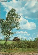 1111122 Landschaft mit Baum und Haus in 