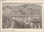 1120026 Bacharach inmitten seiner Weinbe