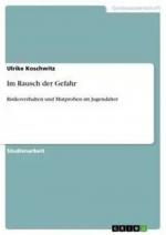 Ulrike Koschwitz: Im Rausch der Gefahr |