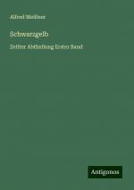 Schwarzgelb | Dritter Abtheilung Erster Band | Alfred Meißner | Taschenbuch | Paperback | 252 S. | Deutsch | 2024 | Antigonos Verlag | EAN 9783386487252