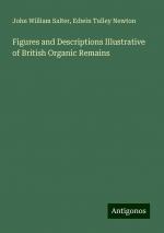 Figures and Descriptions Illustrative of British Organic Remains | John William Salter (u. a.) | Taschenbuch | Paperback | Englisch | 2024 | Antigonos Verlag | EAN 9783388206783