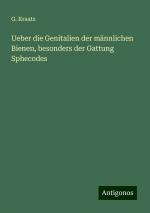 Ueber die Genitalien der männlichen Bienen, besonders der Gattung Sphecodes | G. Kraatz | Taschenbuch | Paperback | 24 S. | Deutsch | 2024 | Antigonos Verlag | EAN 9783386353052