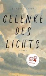 Emanuel Maeß: Gelenke des Lichts: Roman