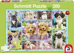 Puzzle - Welpen (200 Teile)