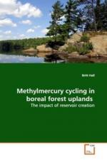 Methylmercury cycling in boreal forest uplands