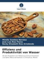 Effizienz und Produktivitaet von Wasser