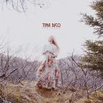 Tina Dico: Fastland