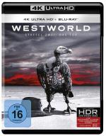 Westworld Staffel 2: Die Tuer