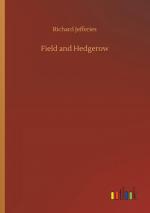 Field and Hedgerow