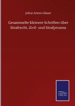 Gesammelte kleinere Schriften ueber Strafrecht, Zivil- und Strafprozess