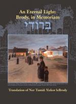 Aviv Meltzer: An Eternal Light