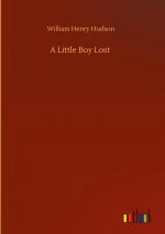 A Little Boy Lost