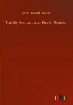 The Boy Scouts under Fire in Mexico.