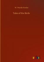 Tales of the Birds