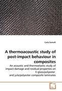 A thermoacoustic study of post-impact behaviour in composites