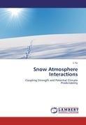 Snow Atmosphere Interactions