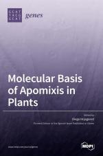 Molecular Basis of Apomixis in Plants