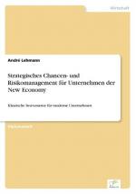 Strategisches Chancen- und Risikomanagement fuer Unternehmen der New Economy