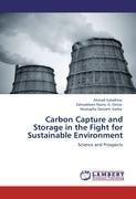 Carbon Capture and Storage in the Fight for Sustainable Environment