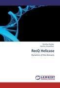 RecQ Helicase